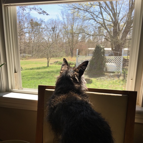 🌻💐🌷 - Picture 5 of 8